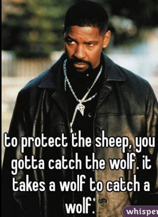 AgentFreakNasty_IT_takes_a_wolf_to_catch_wolf