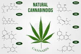 Cannabinoids That Stop Covid