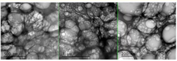 Crystalline Carbon NanoParticles