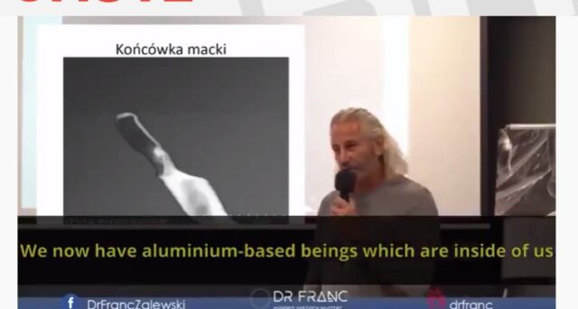 Frank_Zalewski_aluminum_based_life_form