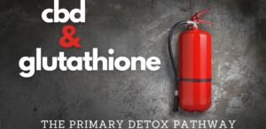 cbd-and-glutathione-detox_1024x1024