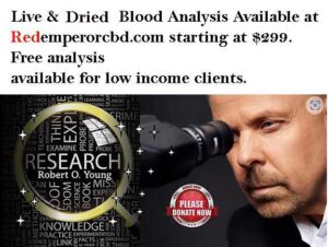 Live Blood Analysis. Agent Midnight Rider