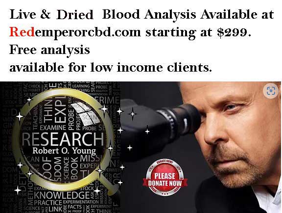 Live Blood Analysis. Agent Midnight Rider