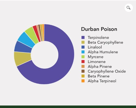 Duban Poison Terpene Profile