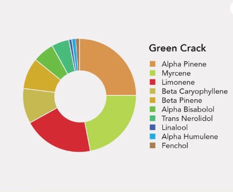 GREEN CRACK TERPENE PROFILES