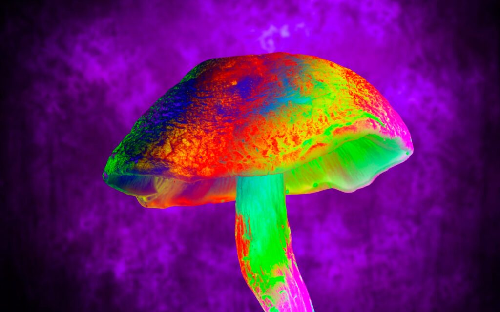 Buy-legal-magic-mushrooms-online