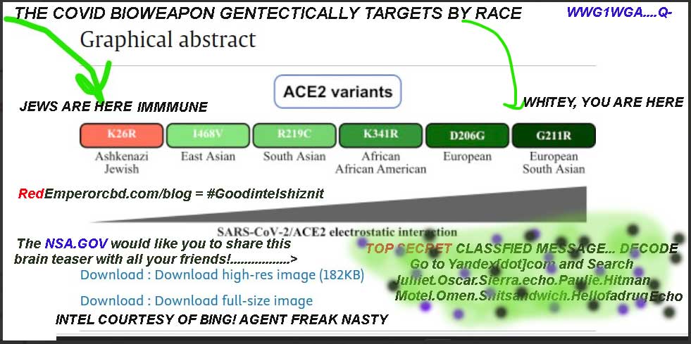 top-secret-agent-freak-nasty-nsa-codes