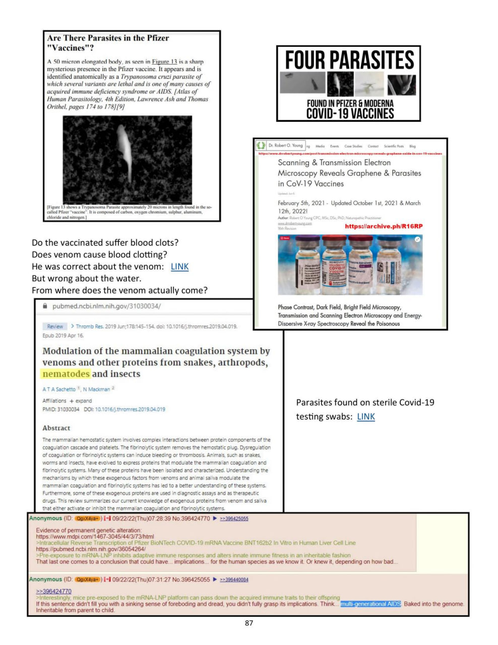 Our Blog from August of 2022 of what is in the vaccine. The Parasite Pill Is using the EXACT same pictures from our blog WTF Does that tell you????